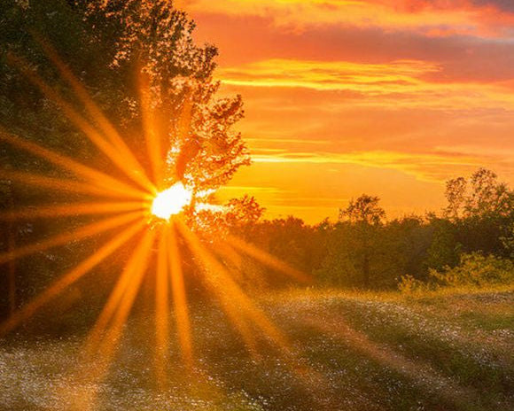Sunny Serenity Candle
