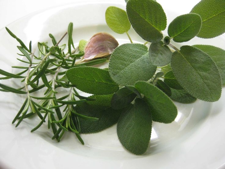 Rosemary and Sage Soap