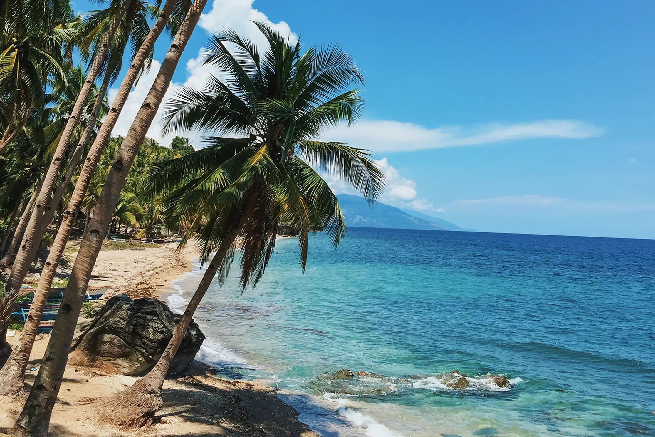 Caribbean Winds Candle