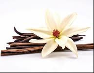 Vanilla Delight Soap