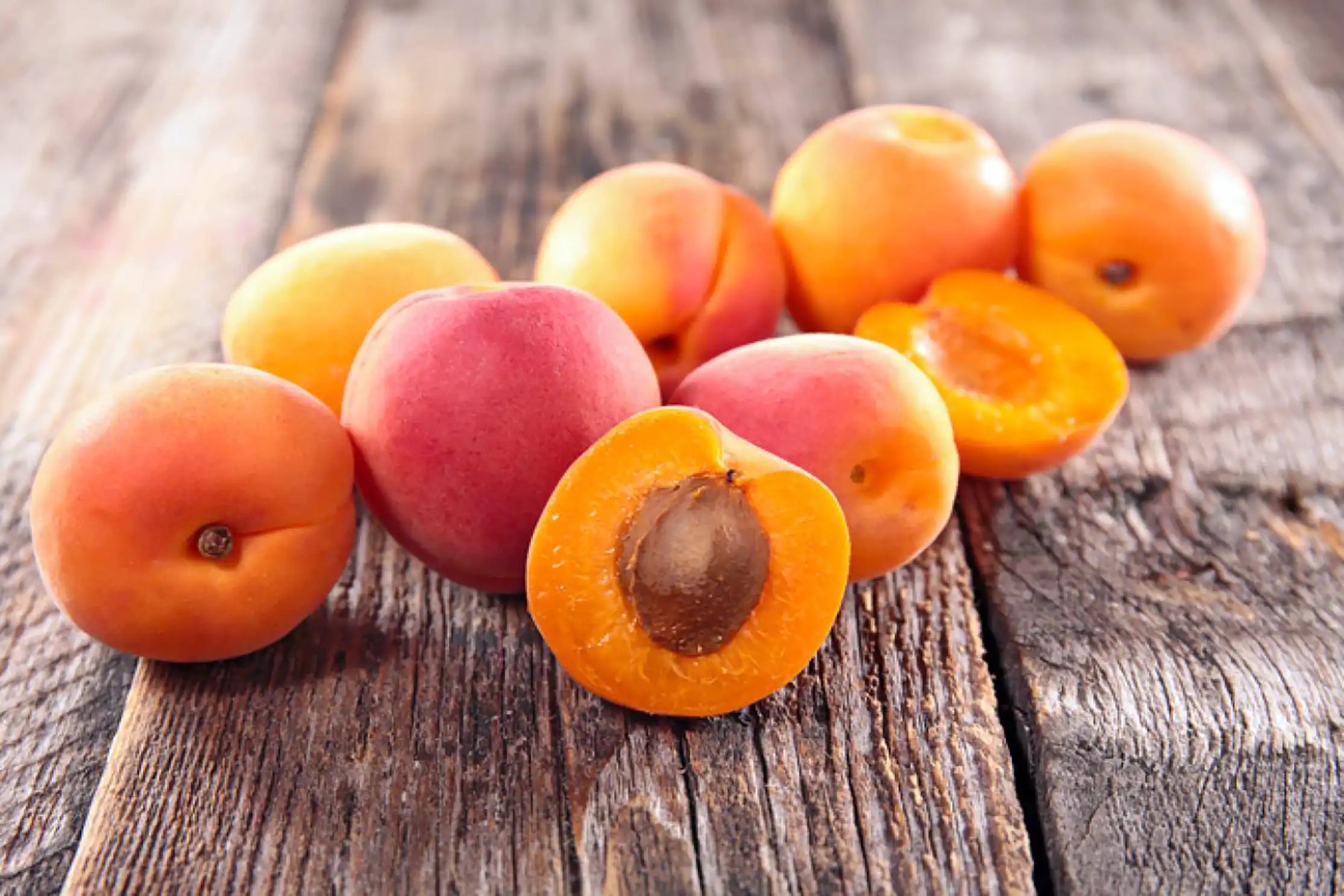 Woodland Apricot