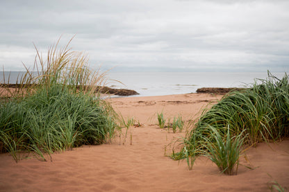 Beach Breeze Soap