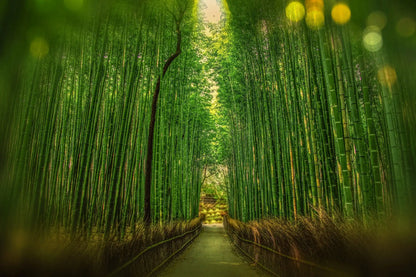 Bamboo Forest Wax Tarts